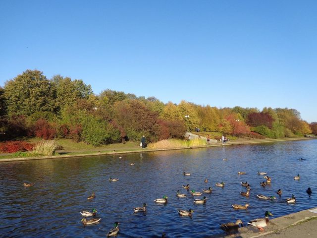 Beggining of autumn in Bródnowski Park 🗺️