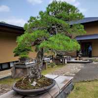 Omiya Bonsai Art Museum, Saitama 🗺️