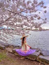 조수 독 🌸 🇺🇸 