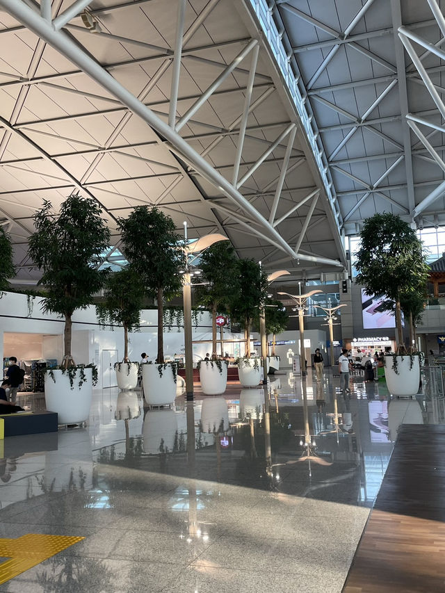 여행의 시작은 공항✈️