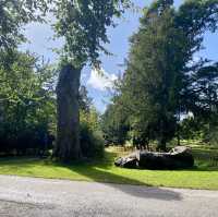 Kilkenny Castle Trail, A September Hiking 🌳