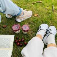 Deer Encounters & Scenic Trails: Richmond Park Awaits
