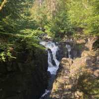 Wonderful walk through the hermitage