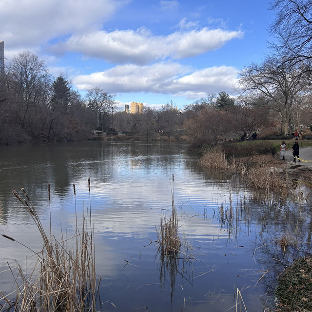 Winter in the park