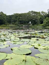 A Family Escape into Nature’s Wonders