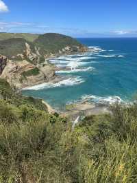 🌊🚗 The Ultimate Great Ocean Road Adventure: Wildlife & Iconic Views 🦘🐨