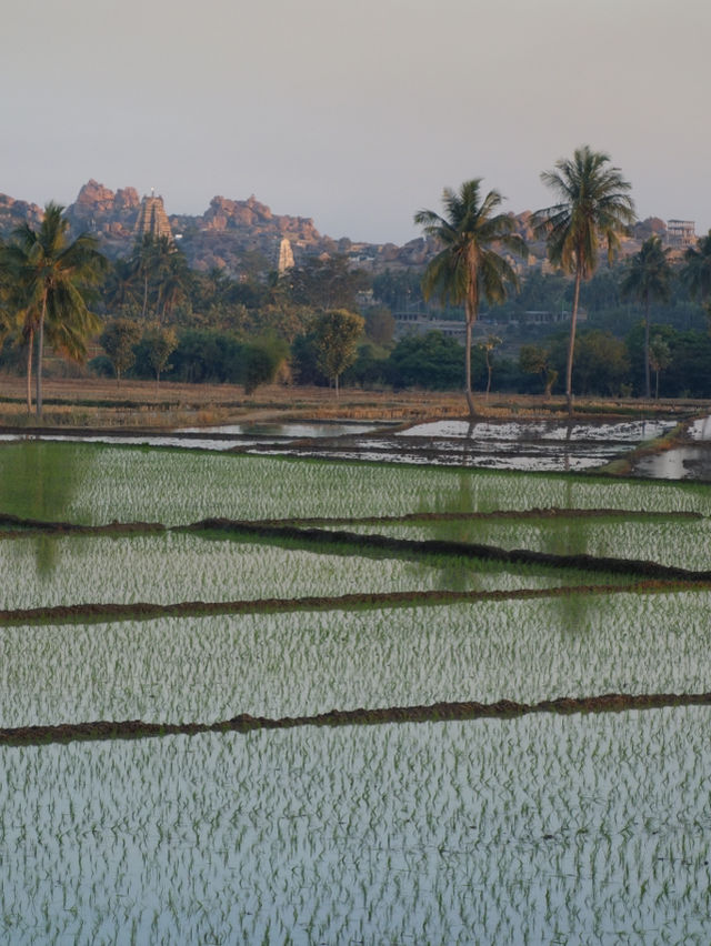 Sanapura Lake: A Serene Escape in Hampi