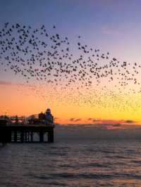 10 Reasons Why You Should Book a Train Ticket to Brighton Right Now! 🚆🌟