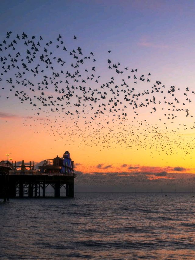 10 Reasons Why You Should Book a Train Ticket to Brighton Right Now! 🚆🌟