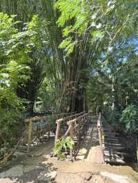 Lemuria Land