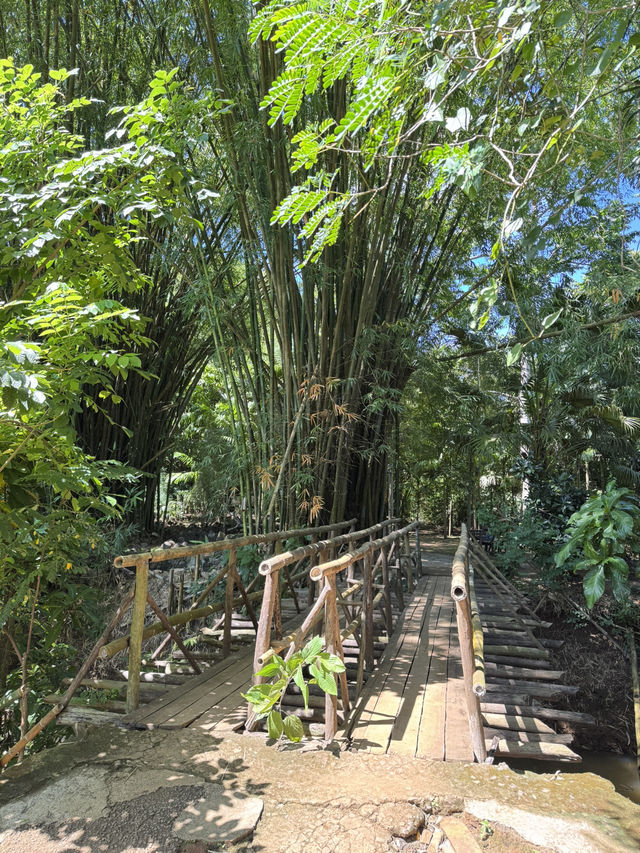 Lemuria Land