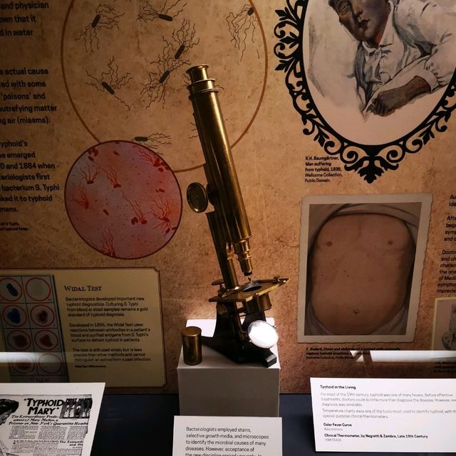 Oxford History of Science Museum – A Journey Through Innovation