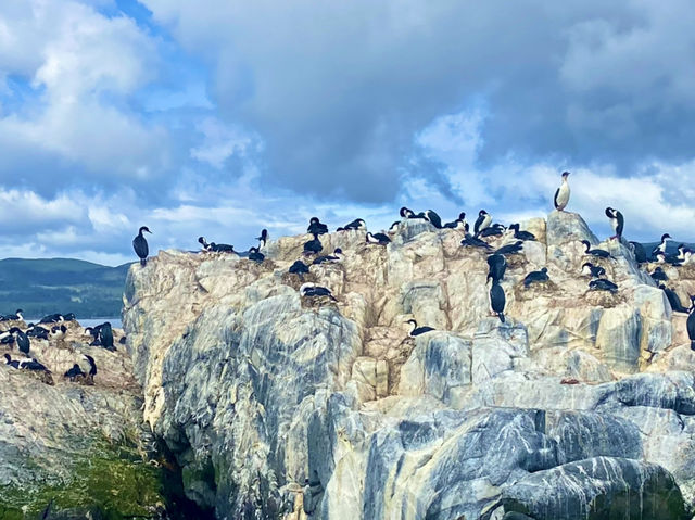 Local Flavor – Ushuaia