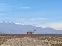 Colors of Humahuaca