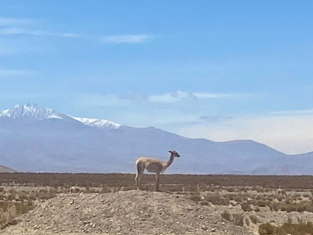 Colors of Humahuaca