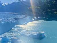 Adventure Cruise + Ice Trek Vibes