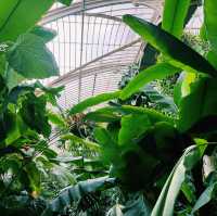 🌿 Kew Gardens, London: Nature’s Crown Jewel in the City