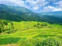 🌾 Stairway to Heaven: LongJi’s Golden Rice Terraces 🌄
