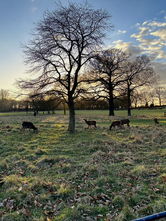 📍Nottingham, United Kingdom 🇬🇧 