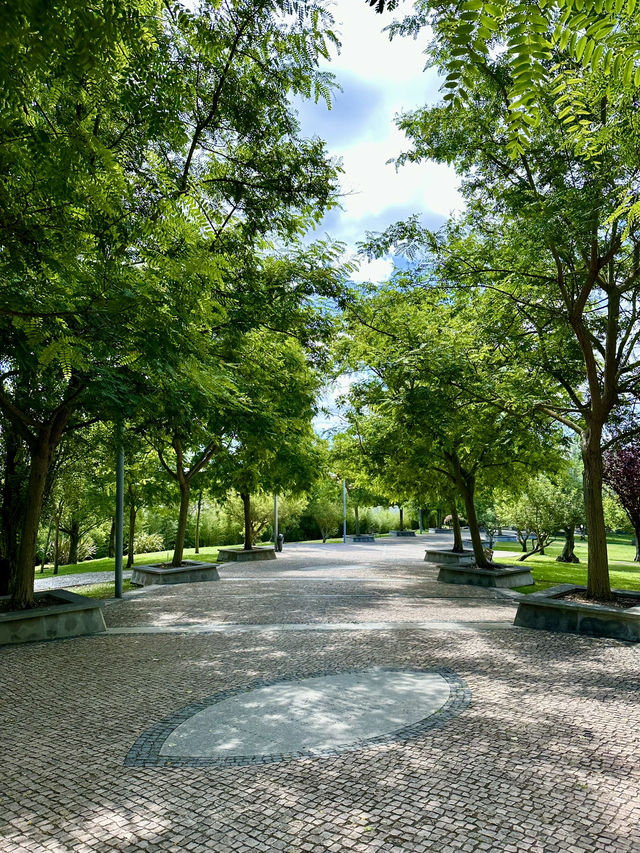 Where to Stay Near Belém Tower and Top Things to Do Around Lisbon’s Iconic Landmark