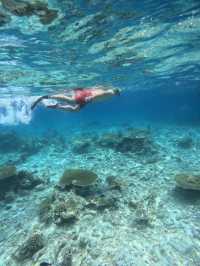 Swimming With Sharks in the Maldives: A Once-in-a-Lifetime Experience