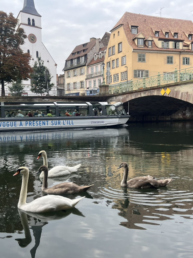 Breathtaking experience in the Capital of Europe, Strasbourg 