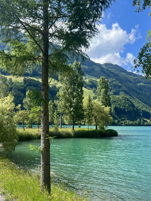 🇨🇭Summer in Switzerland