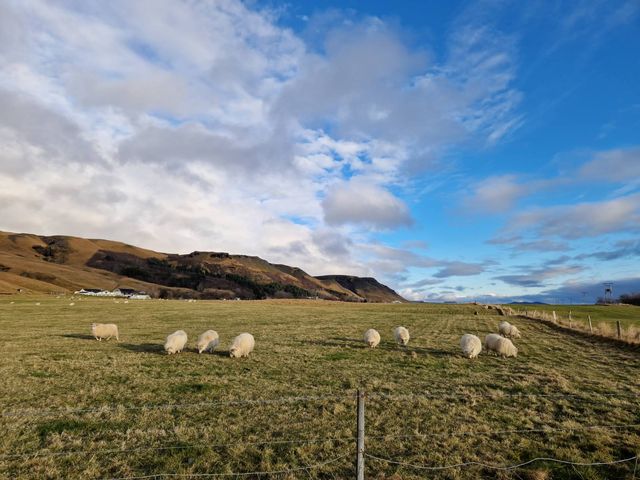 Visiting Iceland on a Budget – Guide & Tips 🇮🇸💙