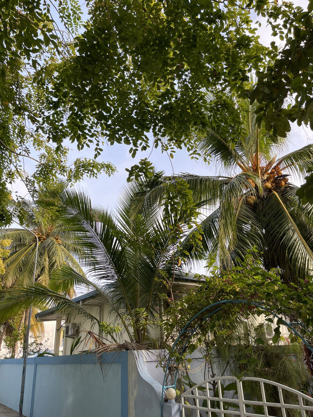 🏝️ Maldives – Paradise on Earth 🌊✨