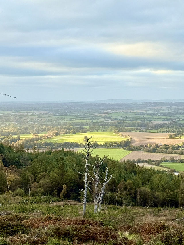 Suir Blueway Adventures