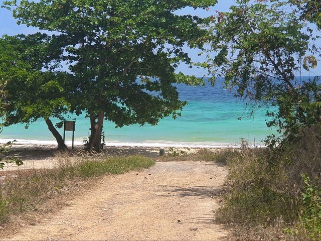 Пляж Лоо Му Ди на Пхи‑Пхи: дикая красота без толп туристов Пляж Лоо Му Ди на Пхи‑Пхи: дикая красота без толп туристов