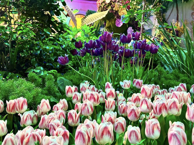 Where all ages can explore and enjoy. 🌸👨👩👧👦✨