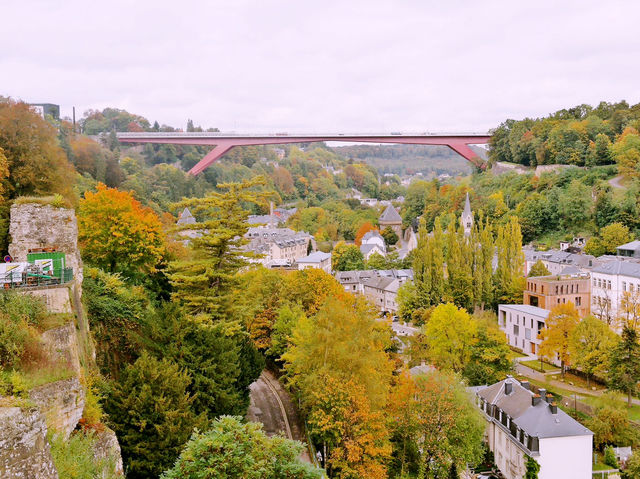 The Grand Secret is Out: Why Everyone is Flocking to Luxembourg 🇱🇺