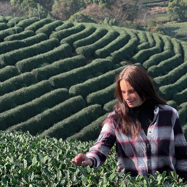 Longwu Tea Village without Travel Agency 🍵