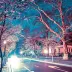 WanderlustWonders