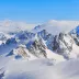 leonin_7385