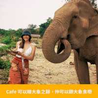 泰國湖畔森林系咖啡館ElelyCafe
