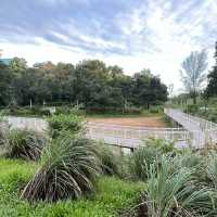 打卡深圳觀湖中心公園