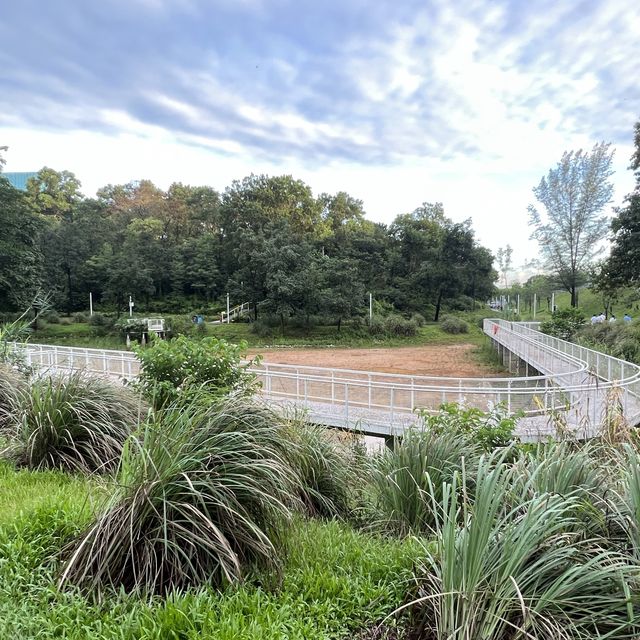 打卡深圳觀湖中心公園