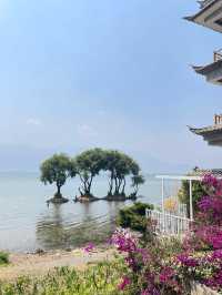 Yunnan Dali Erhai Lake travel guide is here.