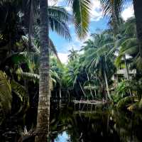 Coconut Forest 🌴 