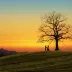 EnchantedSoul12345