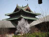 Shaolin Temple-Bucket List ✅