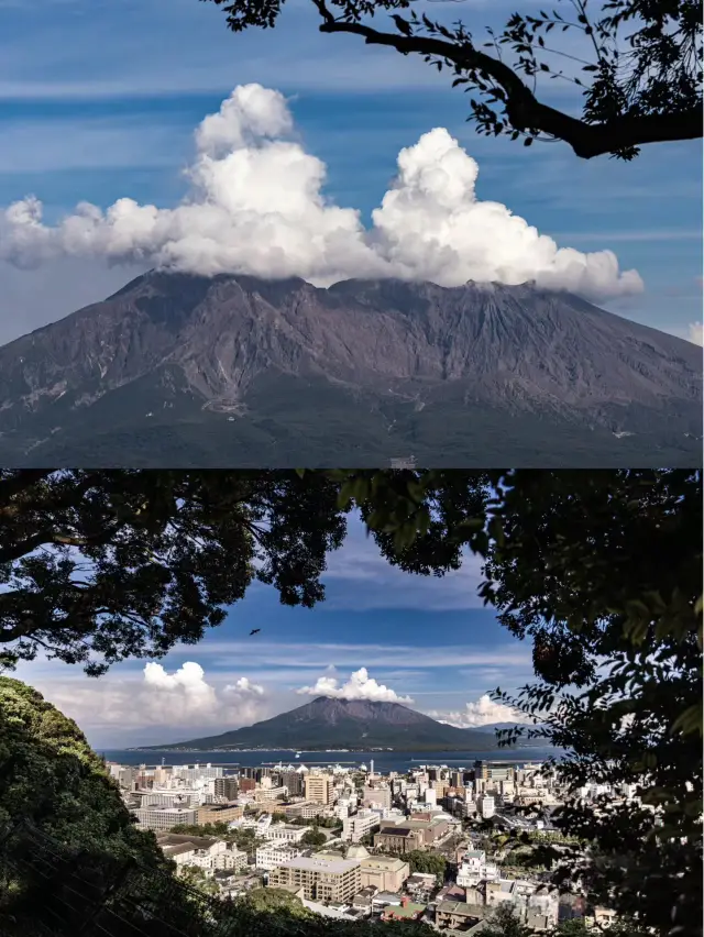 火山城市裡的嬰島，乾淨程度竟然超過90%！