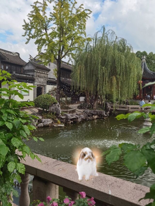 上海‖中山公園醉美