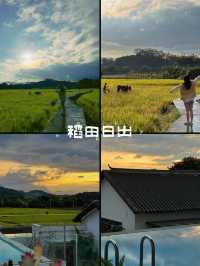 廣州這裡好治癒漫畫般的稻田遇見山水