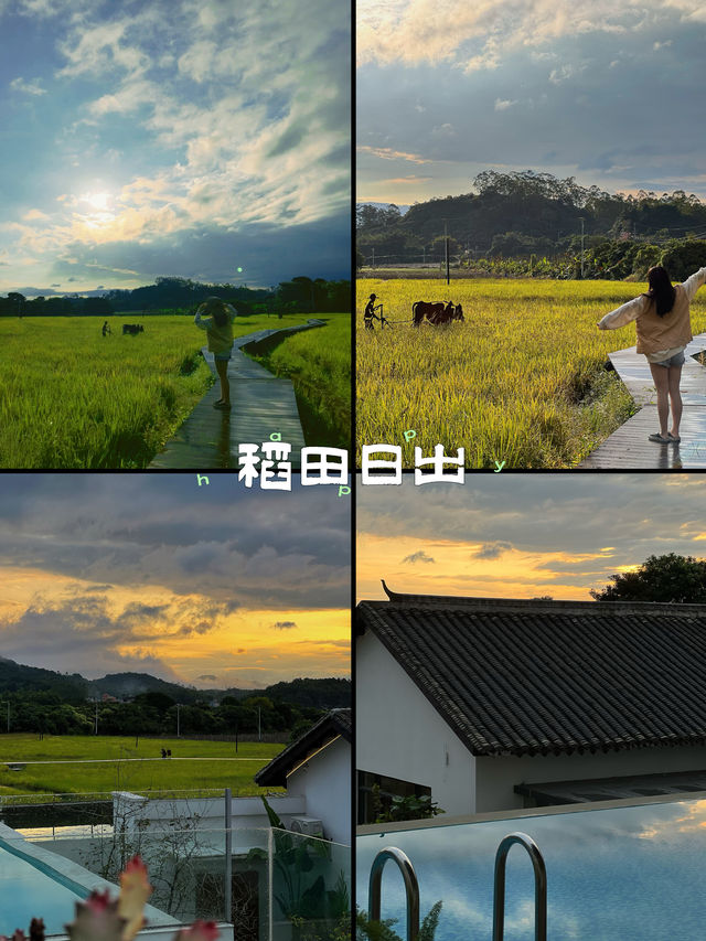 廣州這裡好治癒漫畫般的稻田遇見山水