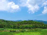 湖南小眾拍照景點“空中花園”
