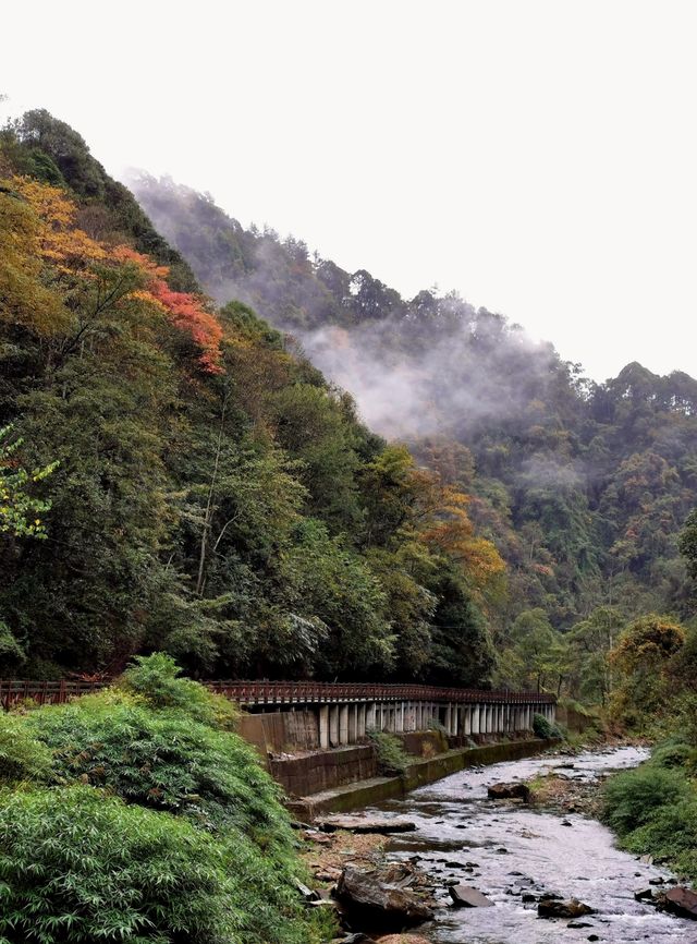 雲煙過眼秋還在撿葉一笑卻道天涼民宿還暖