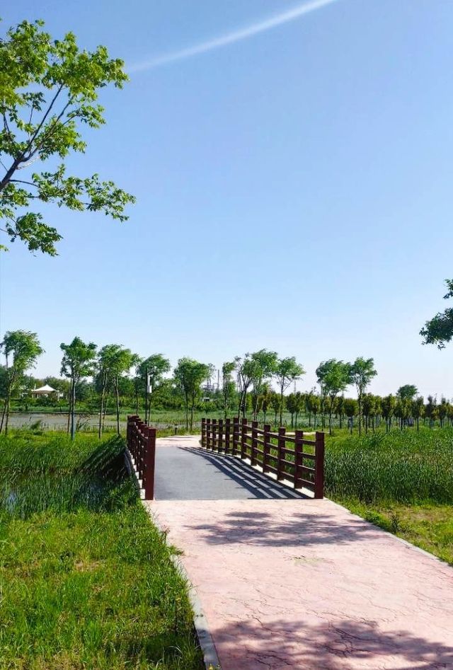 渭柳濕地公園——景色優美的網紅打卡地！